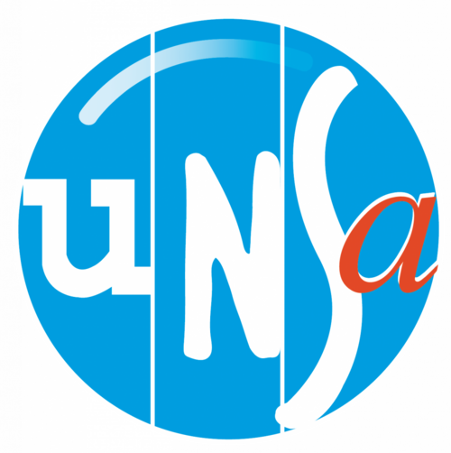 unsa-territoriaux-cd971.fr